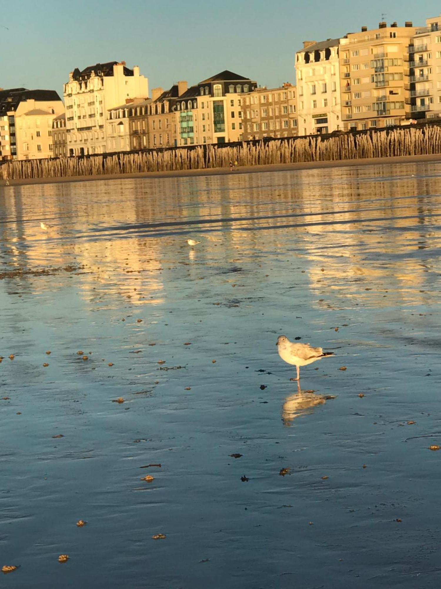 Grand Appartement Bretagne Saint Malo Intra Muros Buitenkant foto